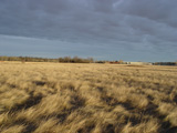 Climat de la prairie d’herbes hautes