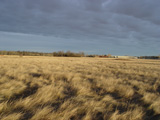 Tall Grass Prairie Weather