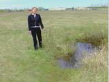 Bison Wallows and Species Diversity