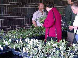 Plant sale at the Assiniboine Park Conservatory