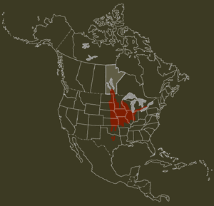 map of tall grass prairie of north america - circa 1800